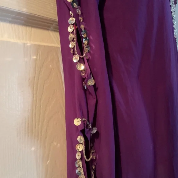 Professional Bellydance Beledi Dress, sexy wear, dance wear - Picture 4 of 5